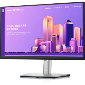 Moniteur professionnel Écran Dell P2222H 22 pouces Full HD réglable